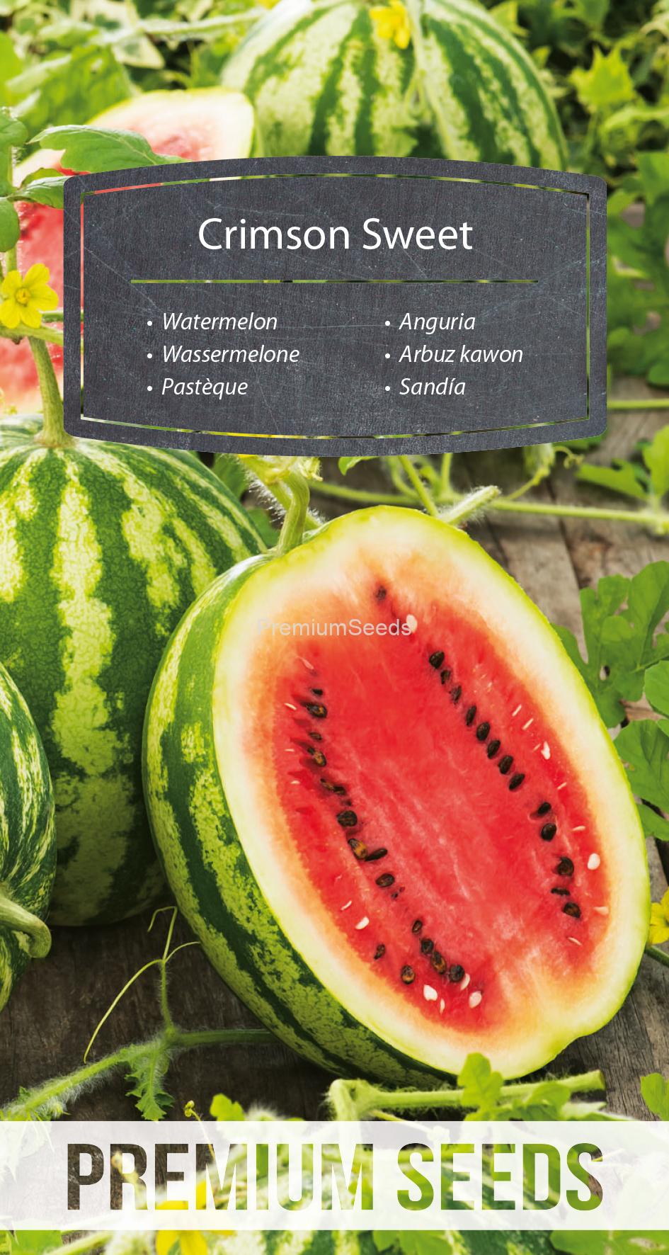 WORLD 14317943PA.indd Pastèque Crimson Sweet - semences