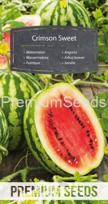 Wassermelone Crimson Sweet - Samen