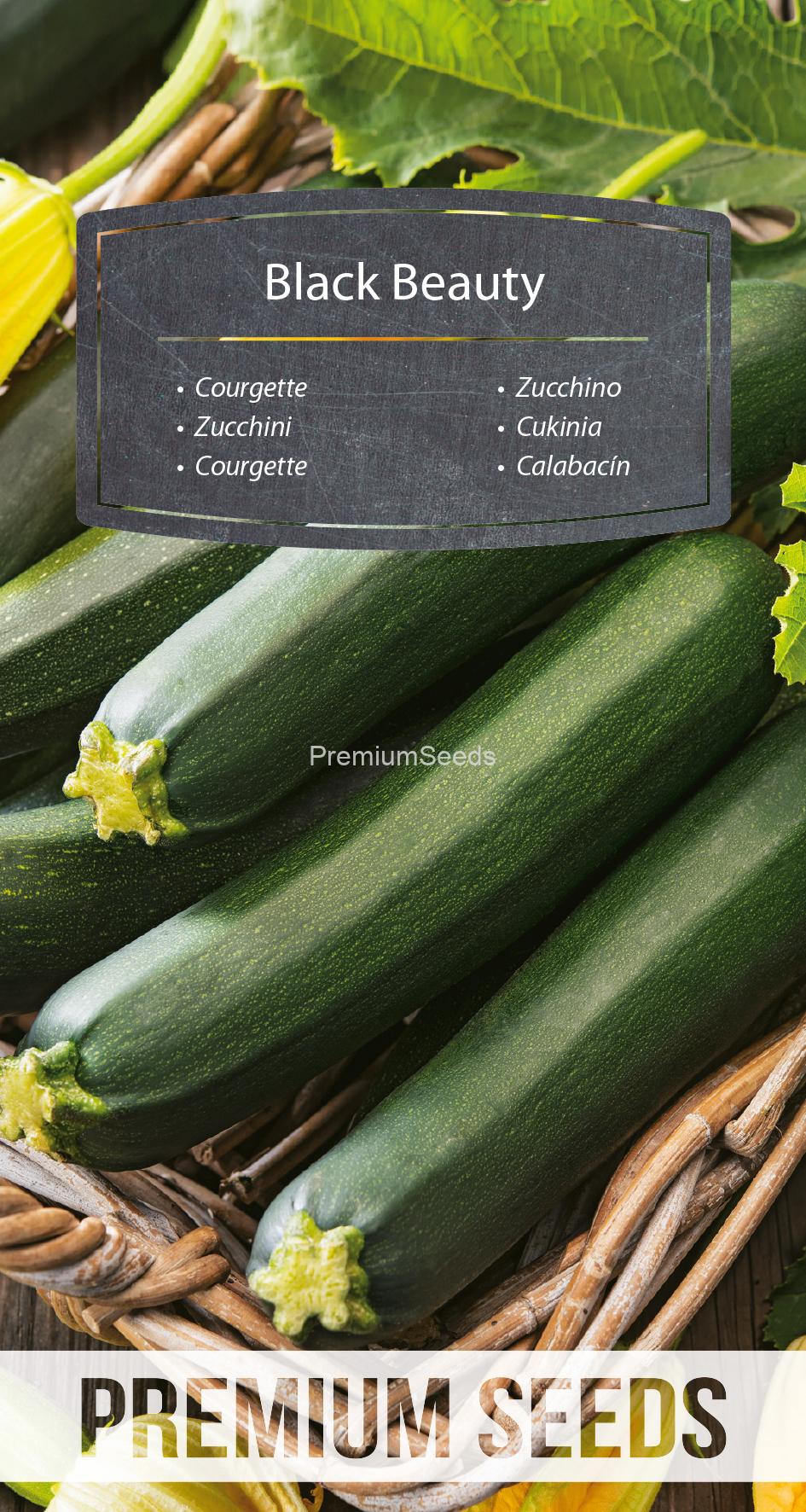 WORLD 14327586PA.indd Zucchini Black Beauty - Samen