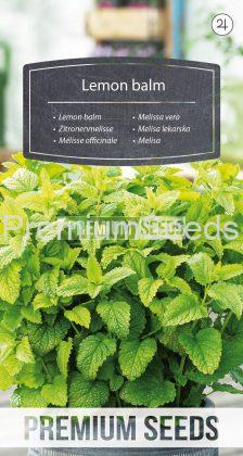 Mélisse officinale - semences