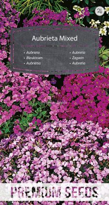 Aubretia miscuglio - semi