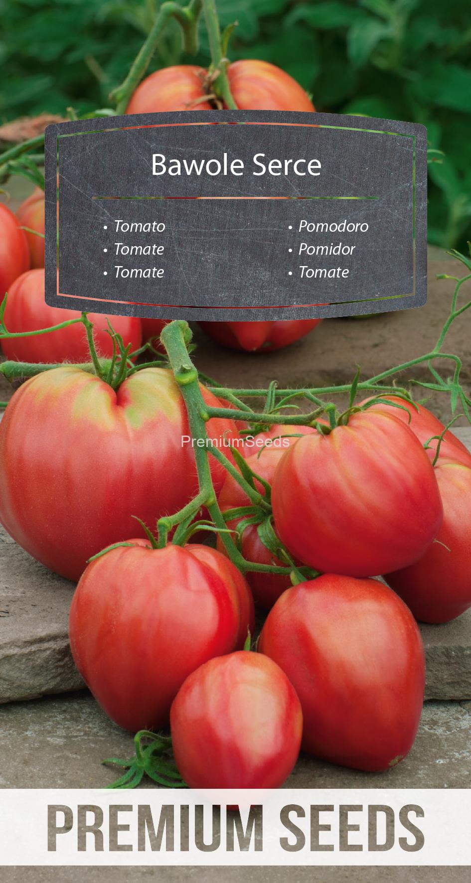 WORLD 16101549PA.indd Pomodoro Oxheart - semi