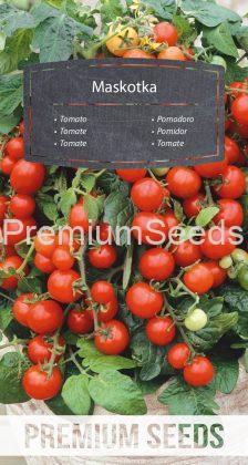 Tomate MASCOT - (,Maskotka') - Samen