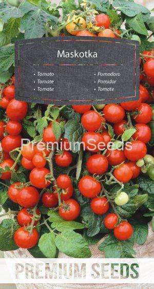 Tomate MASCOT - (,Maskotka') - Samen