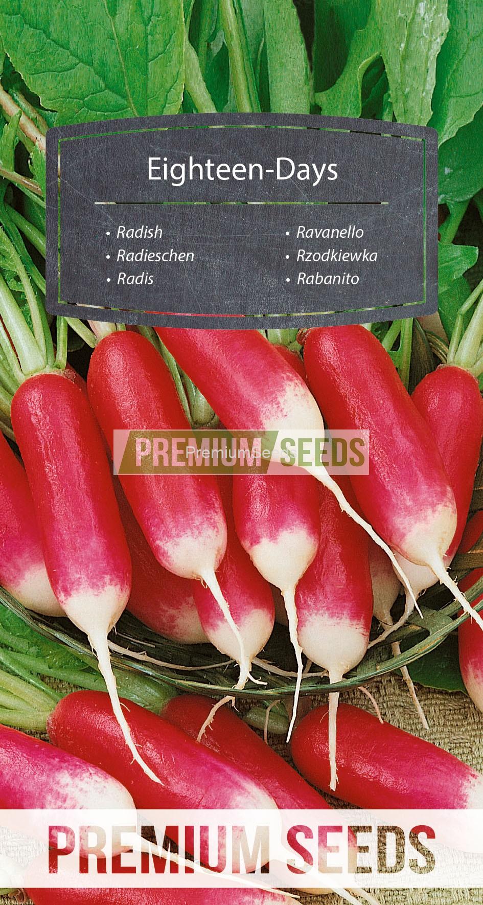 WORLD N 170 0886_RGB_VS Rabanito de 18 días - semillas