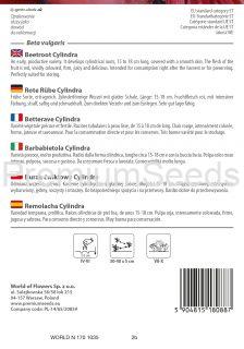 Betterave Cylindra – semences