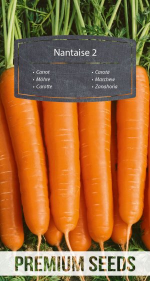 Zanahoria Nantaise 2 - semillas