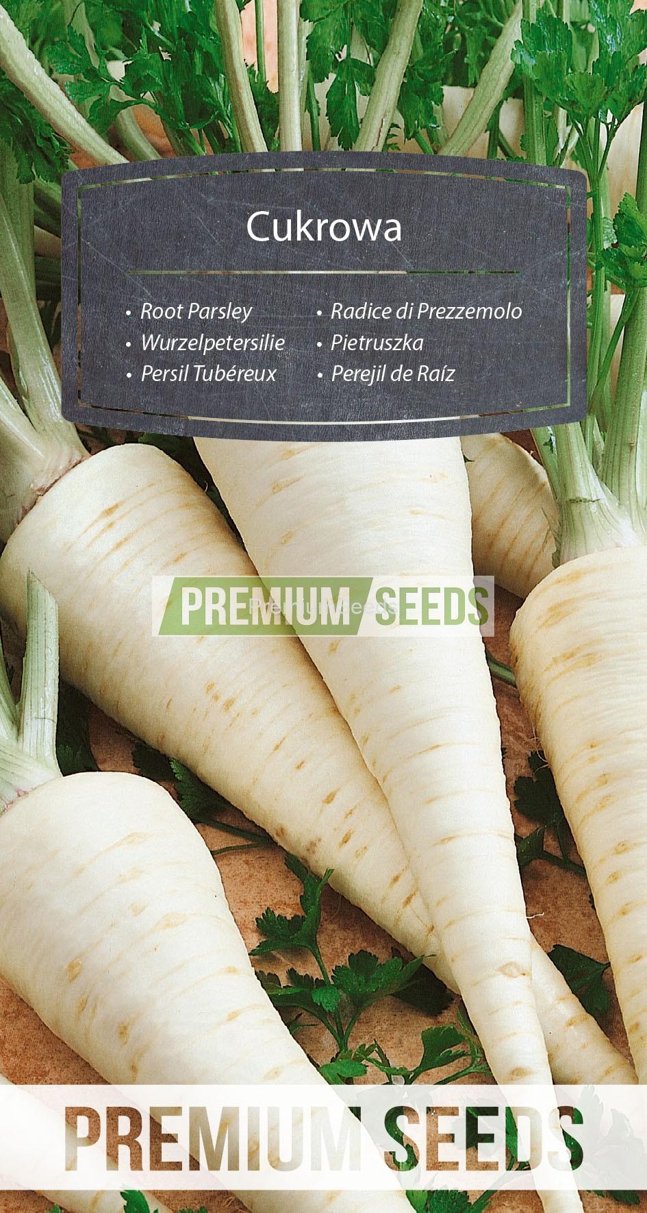 WORLD N 170 1526_RGB_VS Wurzelpetersilie Cukrowa - Samen