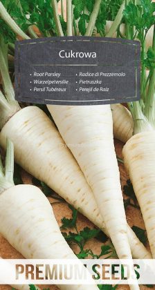 Perejil de Raíz Cukrowa - semillas