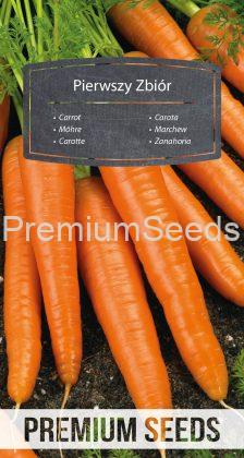 Zanahoria First Harvest - semillas