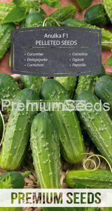 Cucumber Anulka F1 - PILLITIERTES SAMEN