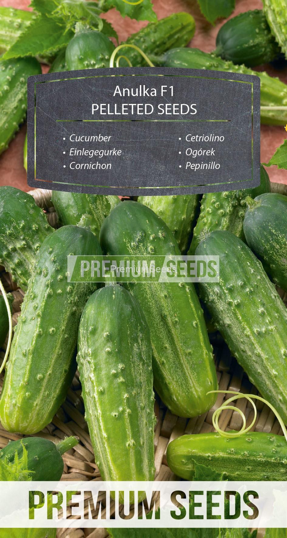 WORLD N 170 3825_PELLETED_RGB_VS Cucumber Anulka F1 - PILLITIERTES SAMEN