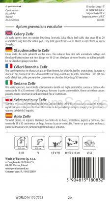 Staudensellerie Zefir – Samen