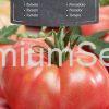 Pomodoro Raspberry Warszawski