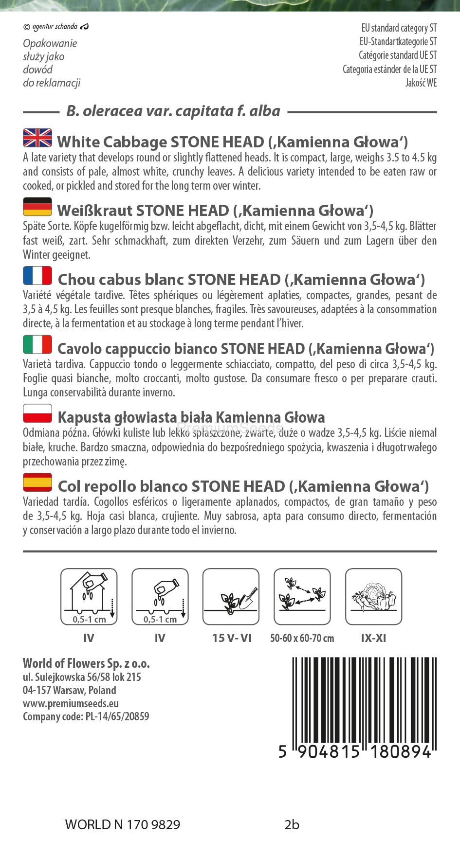 WORLD N 170 9829.indd Chou cabus blanc Stone Head - semences