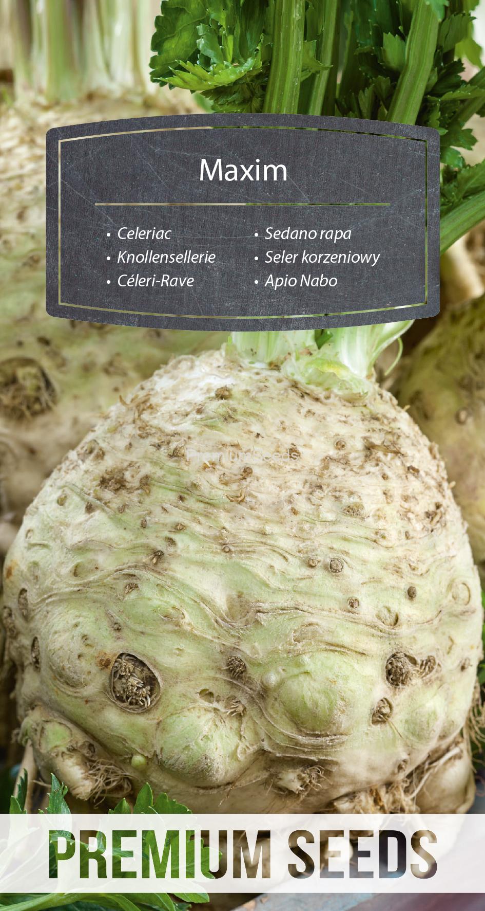 WORLD N 171 0081.indd Céleri-Rave Maxim - semences