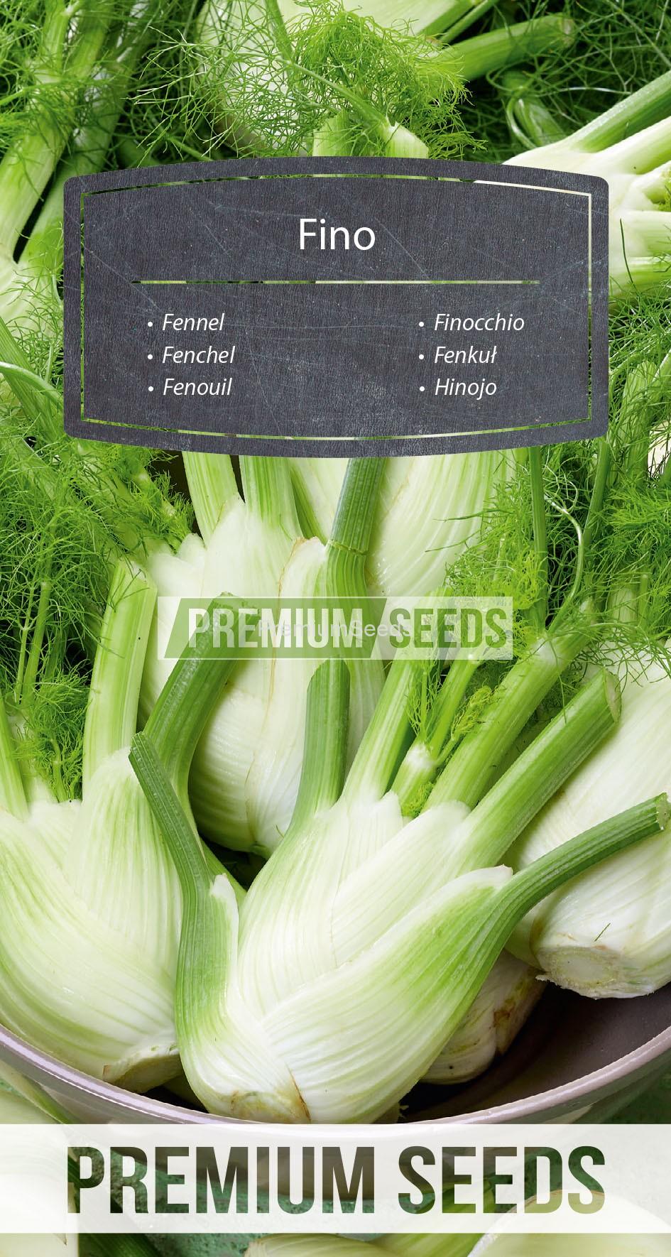 WORLD N 171 0788_RGB_VS Fenchel Fino - Samen