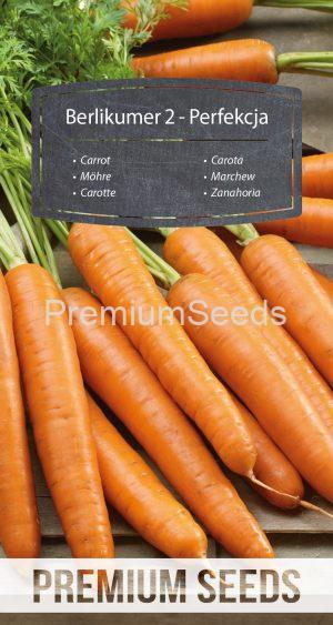 Zanahoria Berlikumer 2 - Perfection - semillas