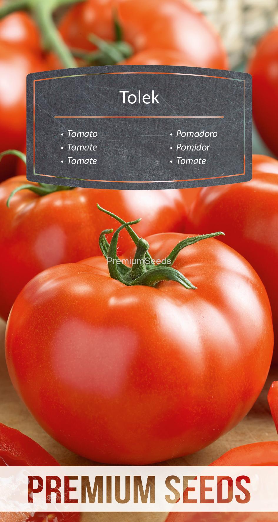 WORLD N 171 2731.indd Tomate Tolek - semillas