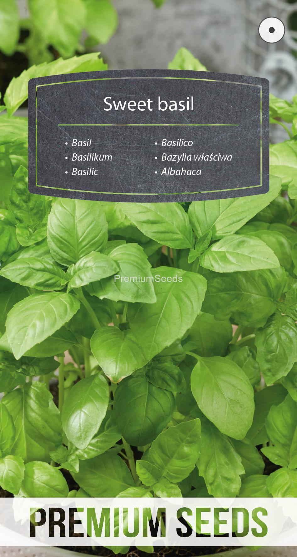 WORLD N 171 3677.indd Albahaca anual - semillas