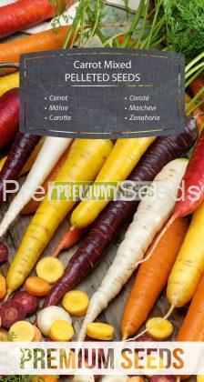 Möhre Bunte Mischung - PILLITIERTES SAMEN