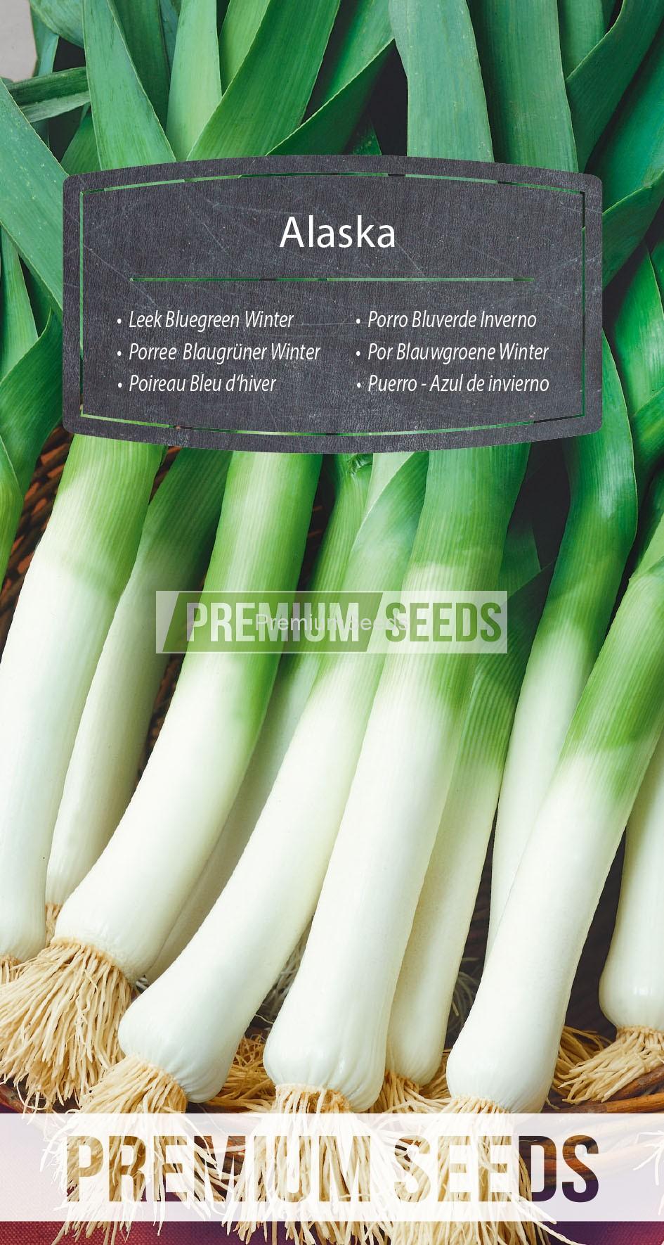 WORLD N 70 84 15_RGB_VS Poireau Bleu d'hiver - Alaska - semences