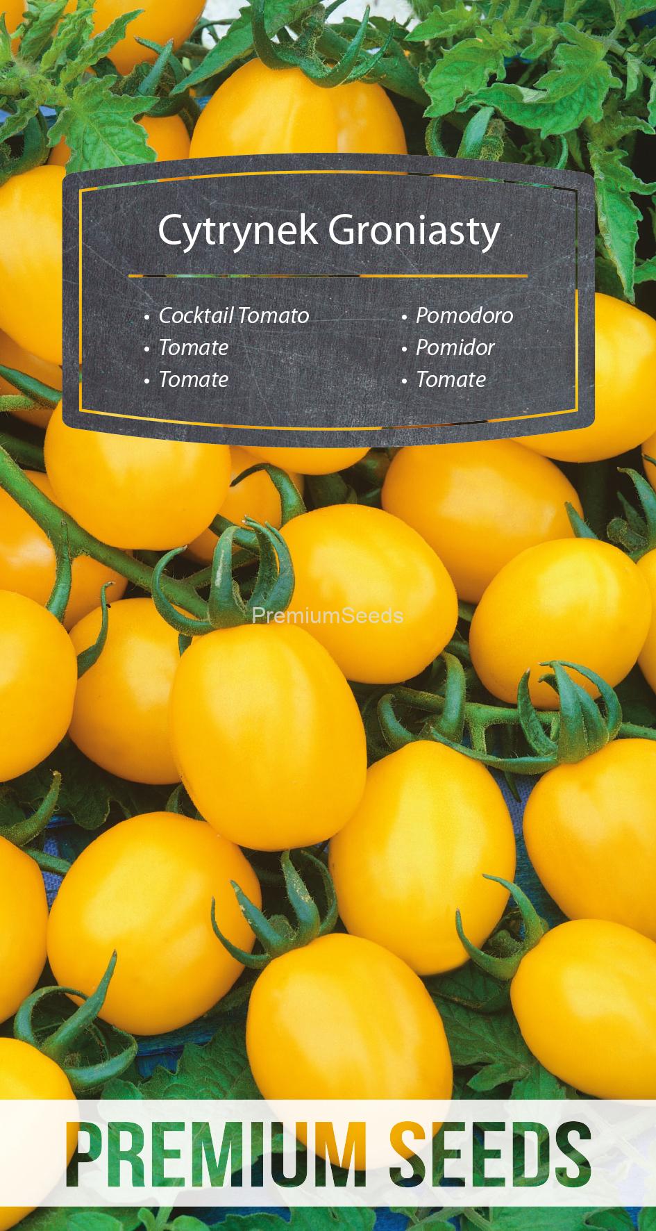 WORLD N 71 24 82.indd Pomodoro Citrus Grape – semi