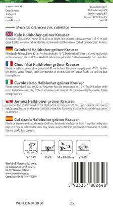 Chou frisé Halbhoher grüner krauser - semences