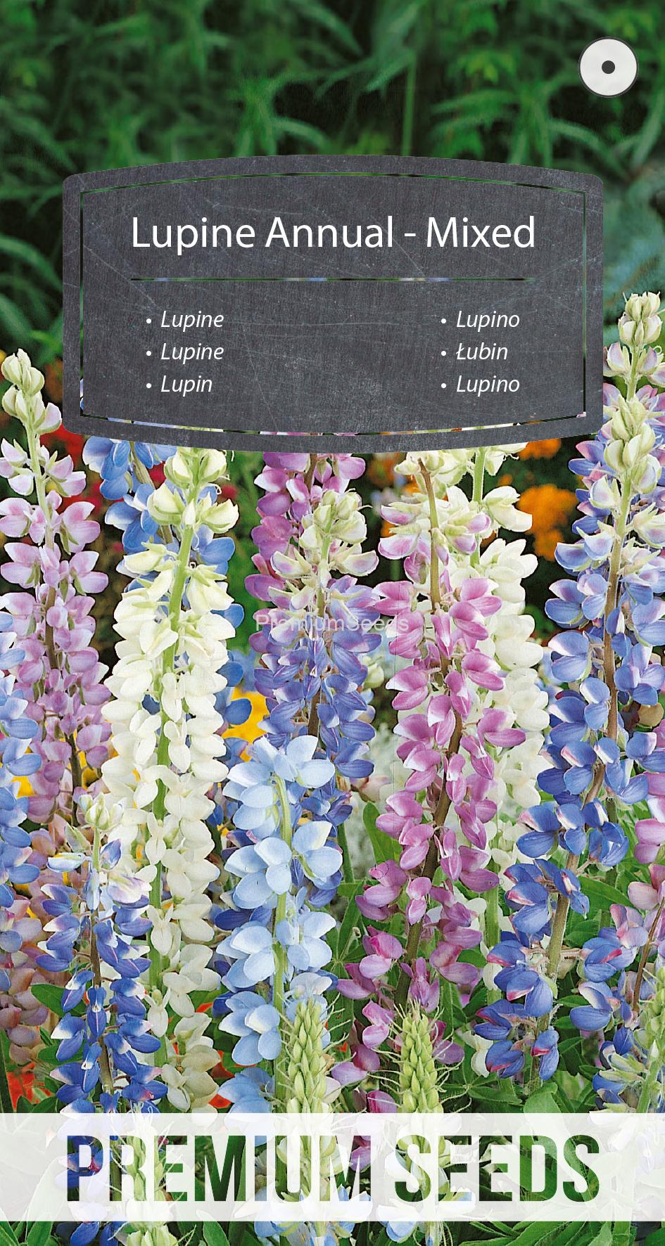 WORLD N G 450 0389.indd Lupine Einjährig - Mischung