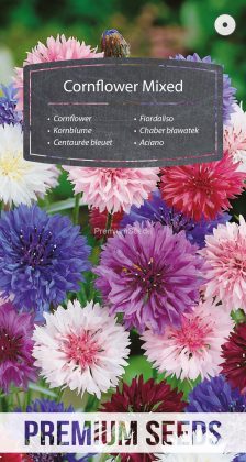 Kornblume Mischung - Samen