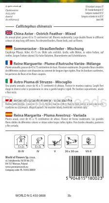 Reina Margarita - Pluma Avestruz - Variada - semillas