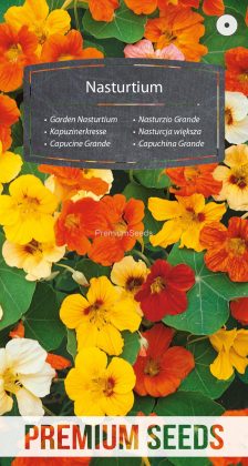 Nasturzio Grande - semi