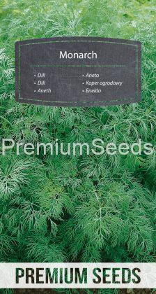 Aneth Monarch – semences