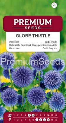 Globe Thistle – seeds