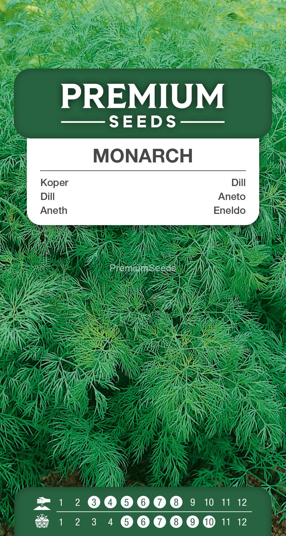 1SWIA-WO-GE-11331_VS Dill Monarch – seeds