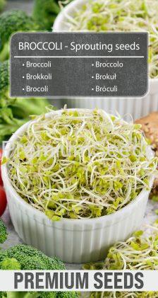 Broccolo - Semi per germogli