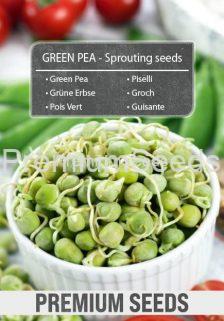 Guisante - Semillas para brotes