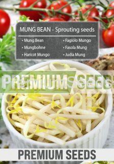 Haricot Mungo - Graines à germer