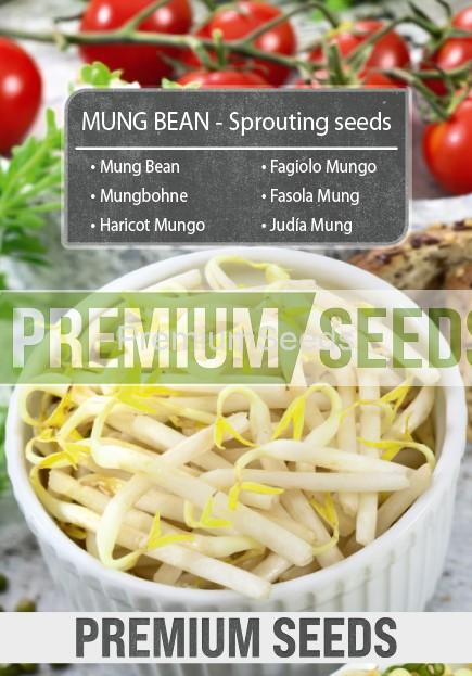 Mung Bean-SKW-10-22-140004-G-A Haricot Mungo - Graines à germer
