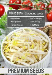 Judía Mung - Semillas para brotes