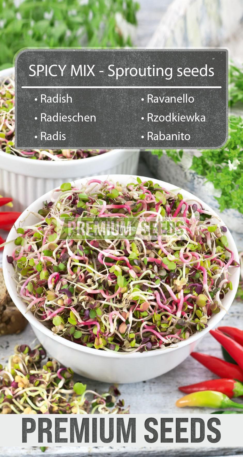 Radish Spicy Mix-SKW-6-22-140000_front Radis - Mélange épicé - graines à germer