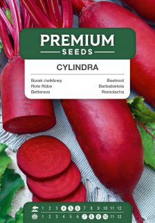 Beetroot Cylindra – seeds