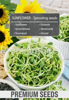 Girasol - Semillas para brotes