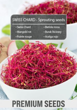 SWISS CHARD - Sprouting seeds