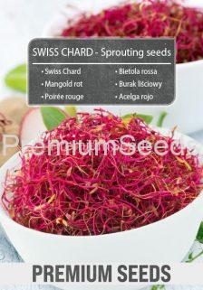 Acelga rojo - Semillas para brotes