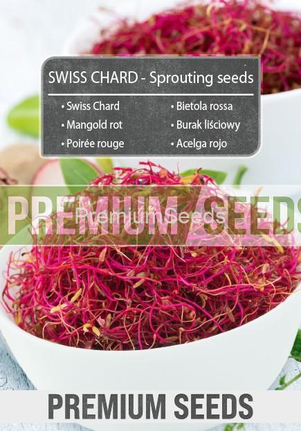 Swiss Chard-SKW-11-22-140005-G-A Burak liściowy czerwony - nasiona na kiełki