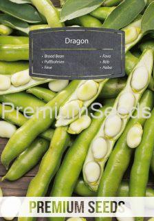 Fava Dragon – semi