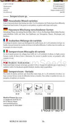 Sempervivum - miscuglio di varietà - semi