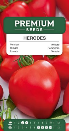 Tomato Herodes – seeds