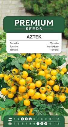 Tomato Aztek – seeds